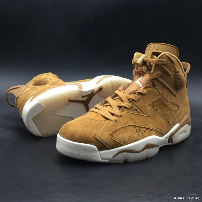 Jordan Air 6 